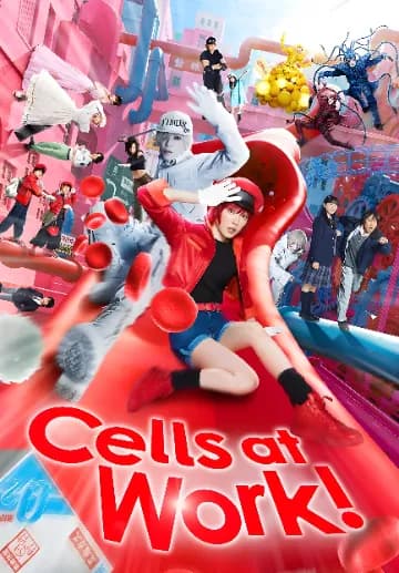 Cells at Work!