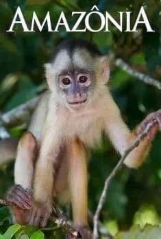 Amazônia