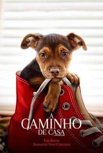 A Caminho de Casa