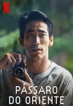 Pássaro do Oriente