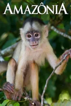 Amazônia