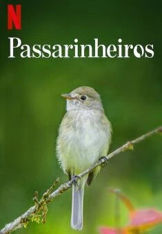 Passarinheiros
