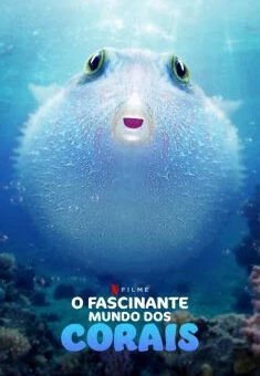 O Fascinante Mundo dos Corais